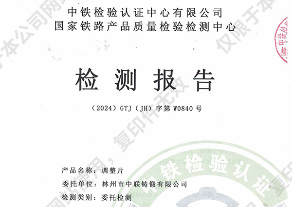 检测报告