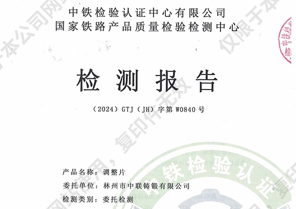 检测报告